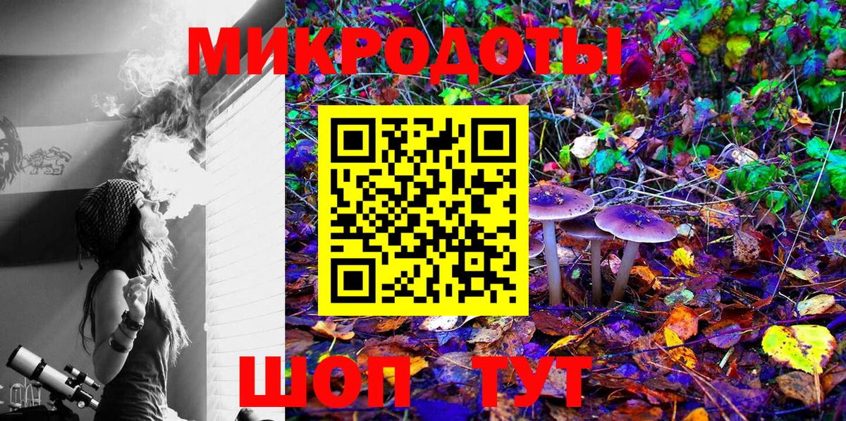 Галлюциногенные грибы Psilocybe  Галлюциногенные грибы прущие грибы  Белгород  Вход с VPN 